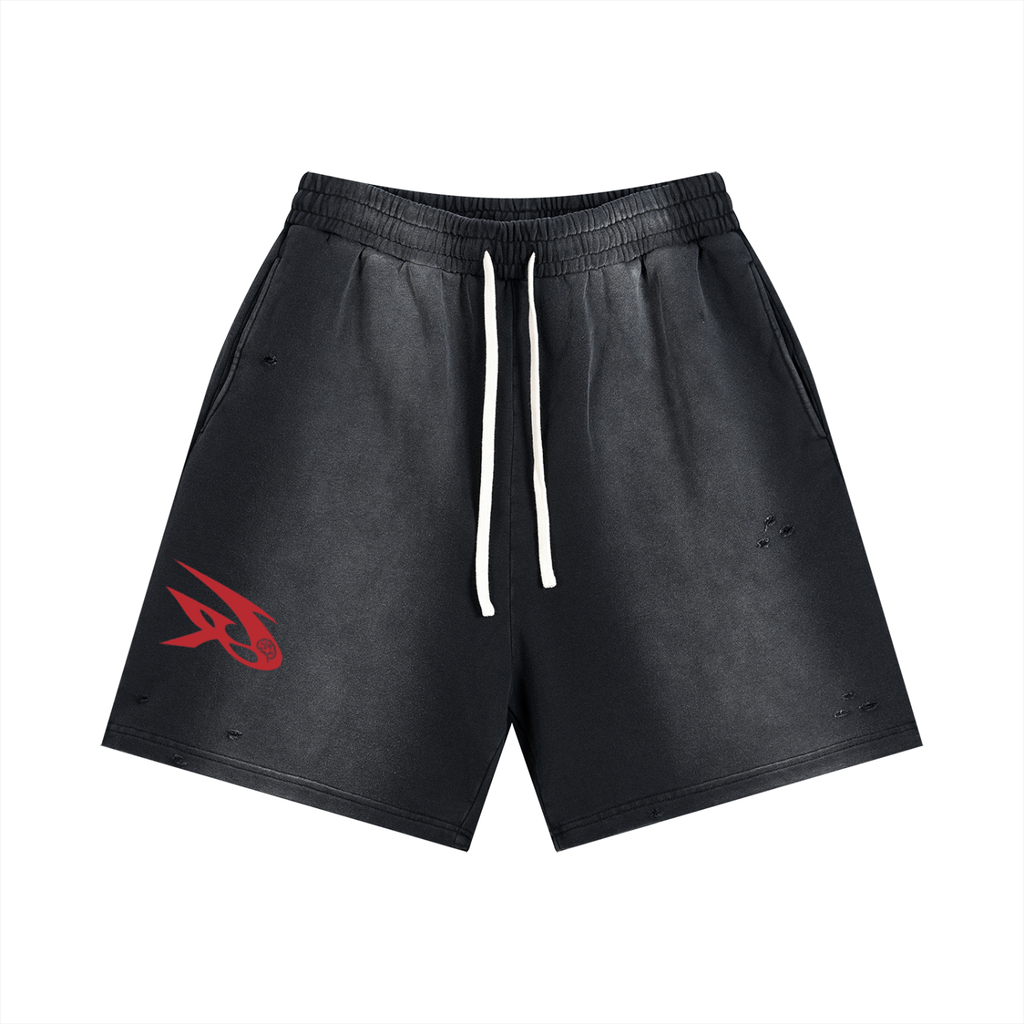 Sun Fade Distressed Shorts