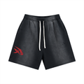 Sun Fade Distressed Shorts